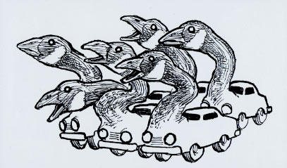 Honkers.jpg