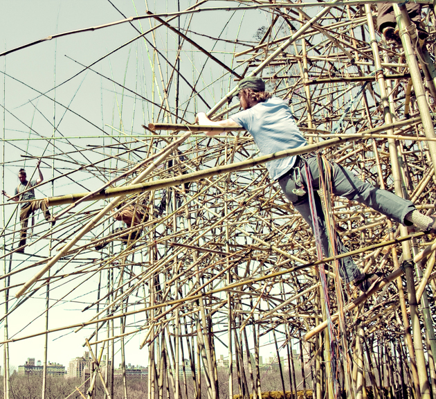 big-bamboo-1.jpg