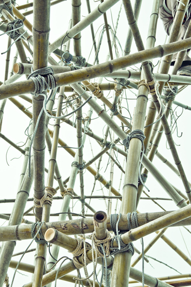 big-bamboo-2.jpg