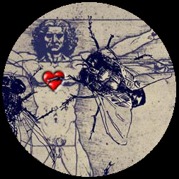 davinci-circle.jpg