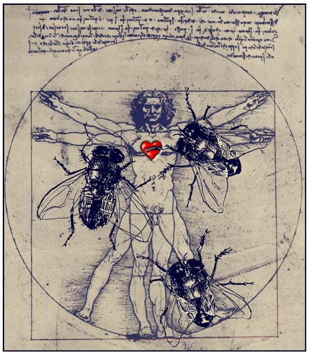 davinci-flies.jpg