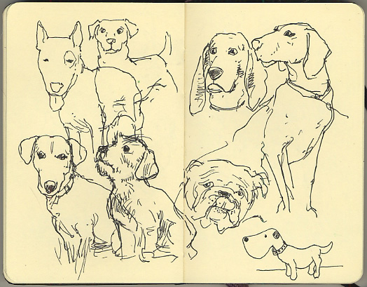 drawmo-day-15.jpg