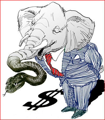 elephant-web.jpg