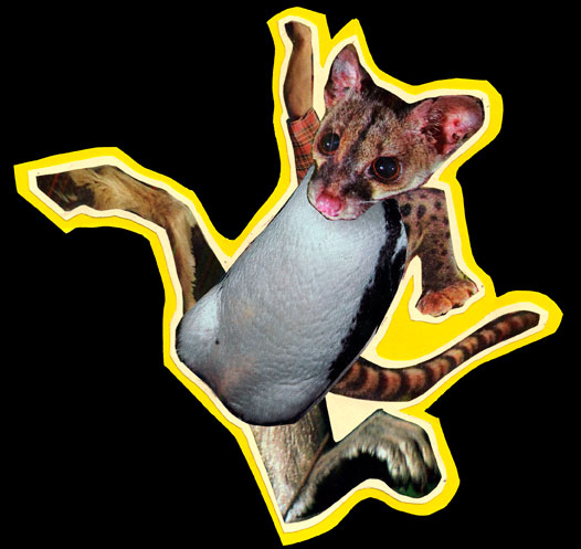 fantasy-creature-rat-head.jpg