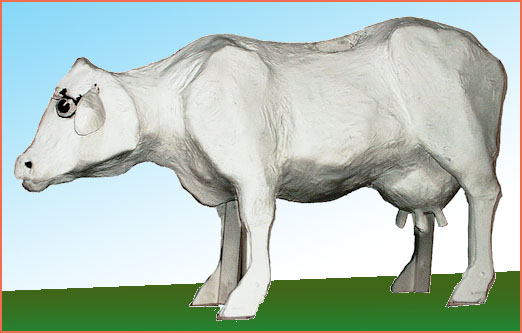 milky-white.jpg