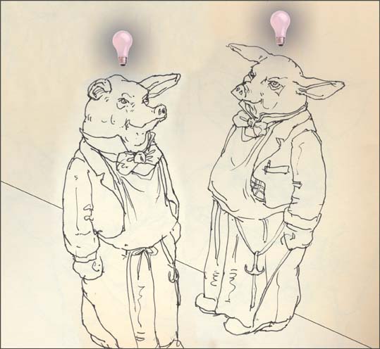pigs.jpg