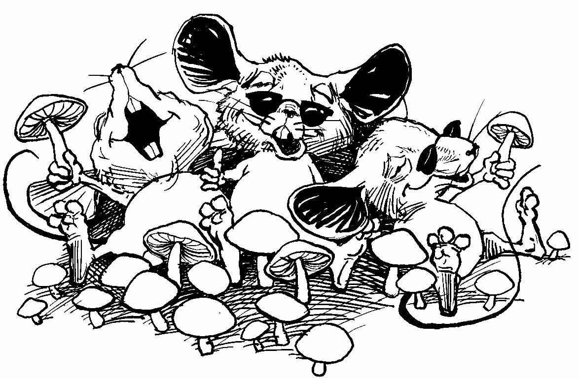 threeblindmice.jpg